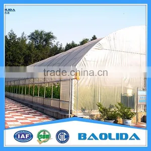 Tunnel Greenhouse Plastic Film Greenhouse For Plant Growth thumbnail-2