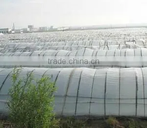 Mulch Film/greenhouse Film thumbnail-1