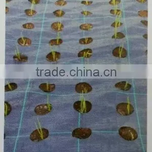 Grass Weed Mat thumbnail-6