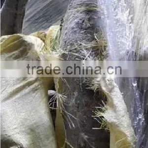 Smooth Skin Frozen Oil Fish Wholesale Food Prices thumbnail-1