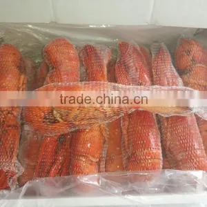 Lobster Homard thumbnail-3