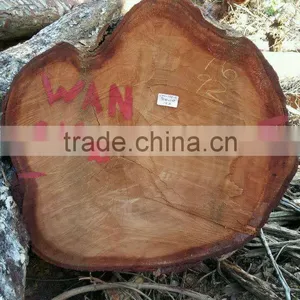 Suriname WAN / Wana Log thumbnail-1