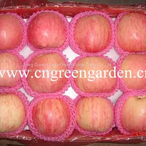 Chinese Fuji Apple thumbnail-1