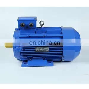 Y2 Series 0.37KW 0.55KW 0.75KW 1.1kw 1.5kw 2.2kw Three Phase ac Eletric/3 Phase Induction Asynchronous Motor thumbnail-3