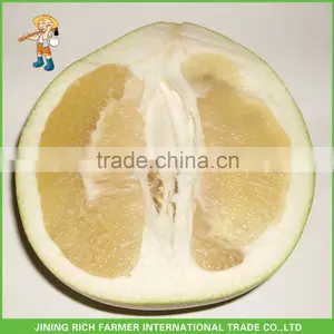 Hot Sale Fresh Chinese Sweet Honey Pomelo thumbnail-1