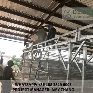 Layer Poultry Farming Equipment thumbnail-2