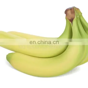 A Nutritious Fresh Banana From Vietnam thumbnail-4