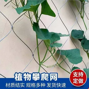 Metal Net, Green Plant Climbing Net, Stainless Steel Wire Rope, Kindergarten Outdoor to Prevent Falling Net thumbnail-1