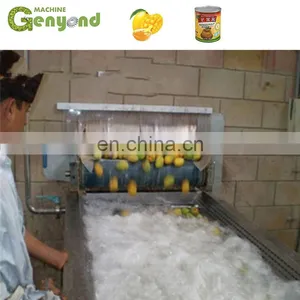 Mango Juice Jam Processing Machine thumbnail-4
