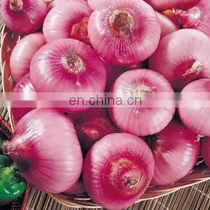 Full Automatic Stainless Steel Onion Powder Machine thumbnail-5