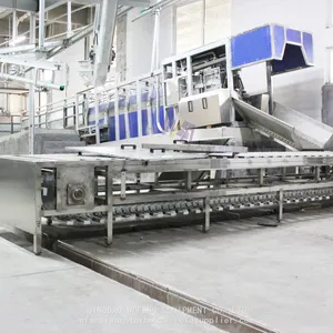 Complete Pig Abattoir Machine Three Points Electric Stunning Conveyor For Pig Slaughter Line thumbnail-1