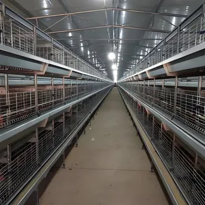 Best Price Egg Layer Chicken Farm Laying Hens Poultry Automatic Battery Cages for Sale Customized BOLI thumbnail-3