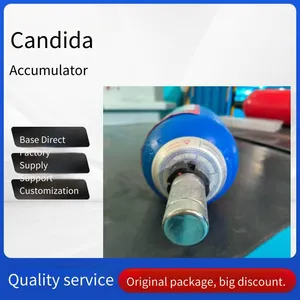 Factory Direct Sales of European Standard Energy Storage Device Sd330 - 10a1 Hydac Accumulator, Capsule, Airbag, Nitrogen Tank thumbnail-1