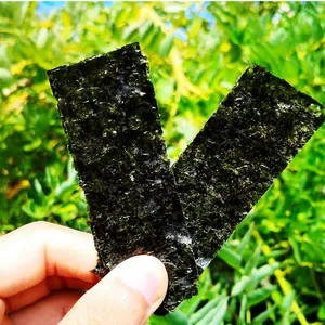 Seasoned Seaweed Crisps Flavored Seaweed Whole Box Bulk 12000 Bags 2 Pieces per Bag Children's Snacks thumbnail-4