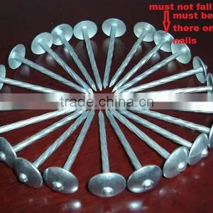 Smooth Shank Roofing Nails Manufacturer thumbnail-5