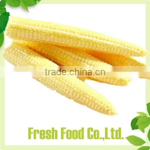 Best Canned Baby Corn Newly Baby Sweet Corn thumbnail-1