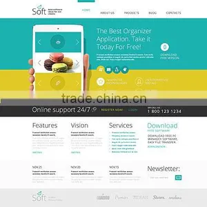 Custom Web Development thumbnail-1