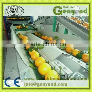 Commercial PLC Fruit Automatic Weight Classifier thumbnail-1