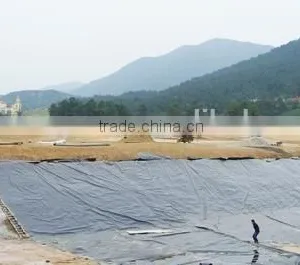 Fish Farm Pond Liner Hdpe Geomembrane thumbnail-1