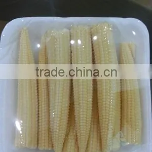Organic Fresh Baby Corn thumbnail-3