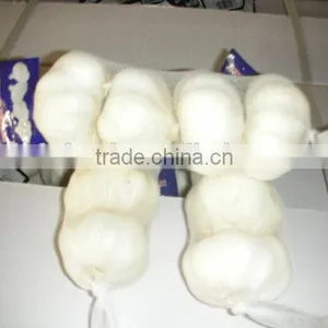 Garlic Price in China thumbnail-3