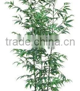 Artificial Silk Bamboo thumbnail-1