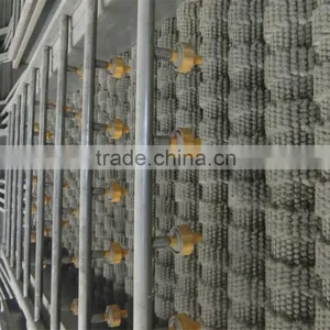 Stainless Steel Radish Potato Carrot Ginger Beet Washing Machine thumbnail-5