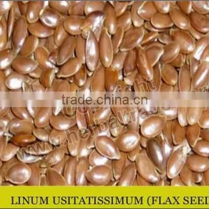 Flax Seed thumbnail-1