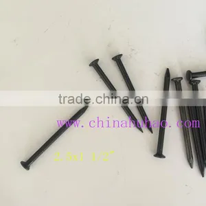 Tianjin Factory Supply Polished Black Concrete Nails thumbnail-1