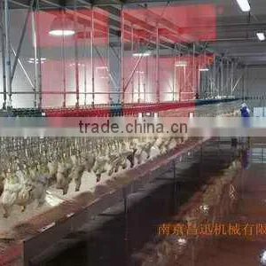 1000 Chicken Slaughter Line Slaughterhouse thumbnail-3