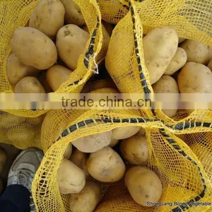 Wholesale New Crop Fresh Potato (chinese Product) thumbnail-5