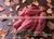 Fresh Sweet Potatoes/ Sweet Potato Export Good Prices thumbnail-2