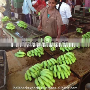 Fresh Cavendish Banana thumbnail-6