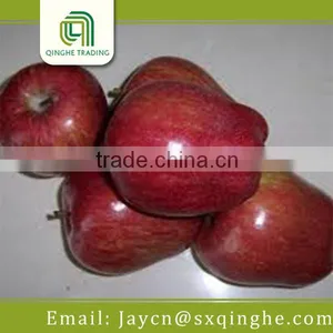 Chinese Fresh Huaniu Apple Wholesale Fruit Price thumbnail-3