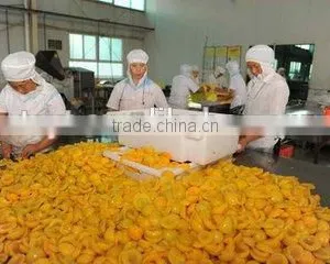 Frozen Yellow Peach thumbnail-2