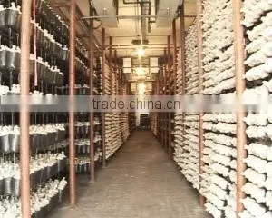 Luoyang Jiajiale Agricultural Production Co., Ltd. company overview - view 2 thumbnail