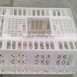 Plastic Turnover Box for Chickens thumbnail-5