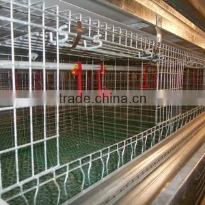 9WCD-3198 A-type Pullet Chicken Cage for Chicken Products thumbnail-1