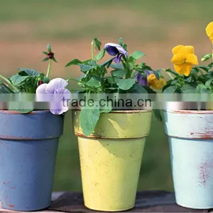 Horticultural Grade Diatomaceous Earth Potting Soil and Hydroponic Growing Medium thumbnail-3
