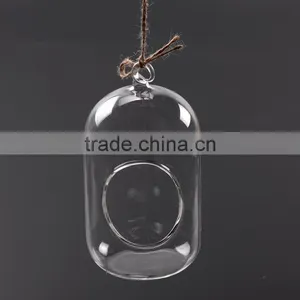 Hanging Micro Landscape Ecological Meaty Plant Glass Vase thumbnail-3