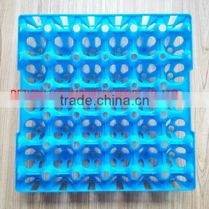 China High Quality Plastic Egg Tray for 30 Chicken Eggs thumbnail-3