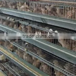Welded Wire Mesh Quail Cage Type and Bird Use Quail Battery Cages for Sale thumbnail-2