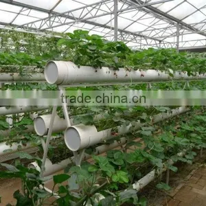 Solar Greenhouse Hydroponic Systems thumbnail-1