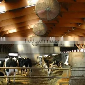 Cow Fan/hanging Fan/dairy Fan/dairy House Fan/cow House Fan thumbnail-3