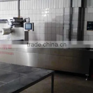 RZ420 Automatic Hot Formation Vacuum Thermoforming Machine thumbnail-3