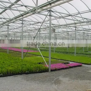 Commercial Greenhouse Galvanized Steel Tube Farm Commercial Greenhouse thumbnail-1