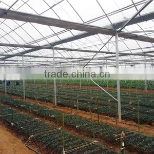 Hot Sale Film Greenhouse for Agriculture Planting thumbnail-2