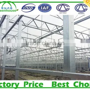 Commercial Metalic Greenhouse thumbnail-5