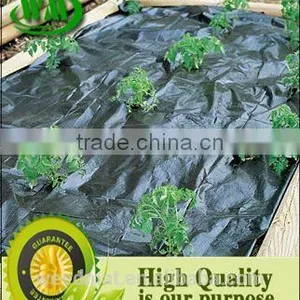 Black and Green Line pe Weedmat thumbnail-5