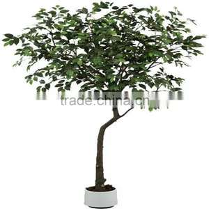 Wholesale Artificial Home Bonsai Tree Live Ficus Tree Artificial Bonsai Banyan Tree thumbnail-1